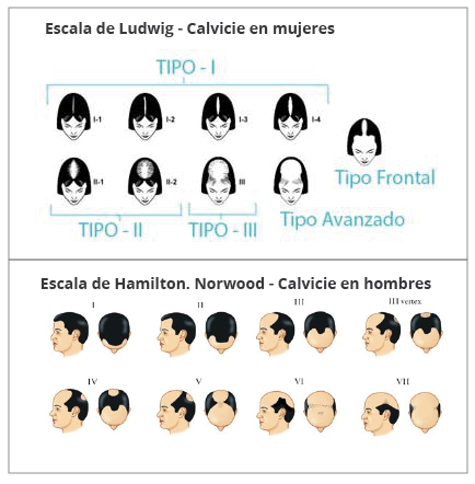 Diagnóstico capilar